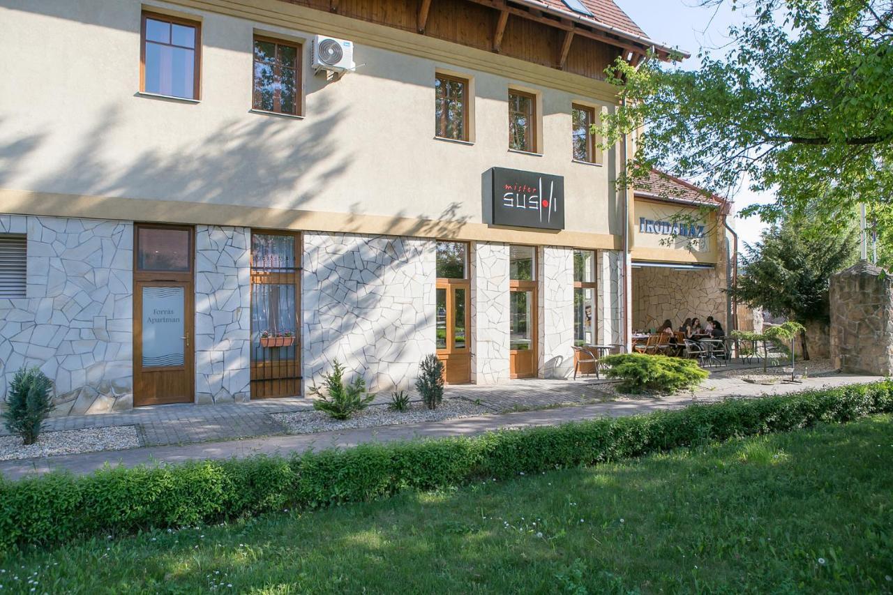 Forras Apartman Eger Buitenkant foto